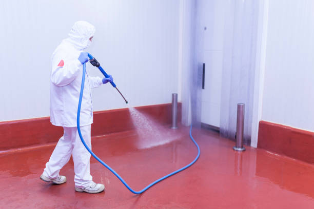 Best House Exterior Washing  in Marion, WI