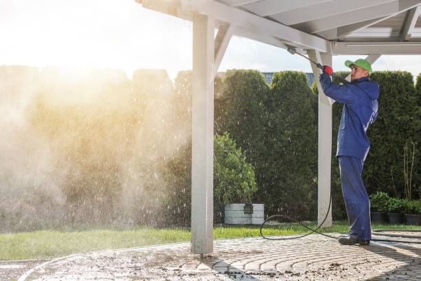Best Gutter Cleaning  in Marion, WI