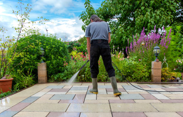 Best Fence Cleaning  in Marion, WI