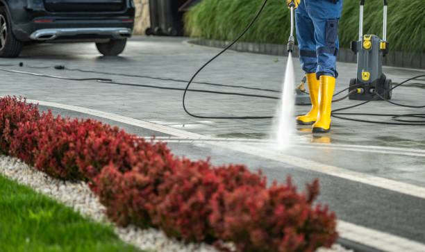 Best Soft Washing  in Marion, WI